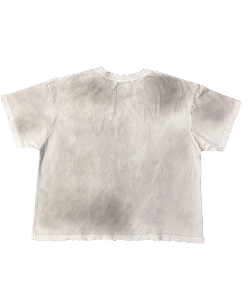 Memories Misremembered Dirty Wash Tee